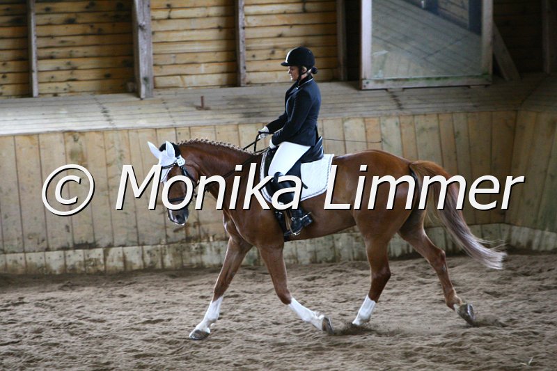 006M4801_Dressur A.JPG